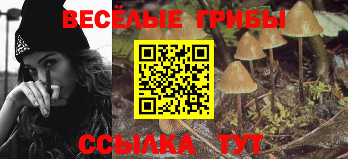 наркота  Галлюциногенные грибы Magic Shrooms  Вход с VPN  Анапа 